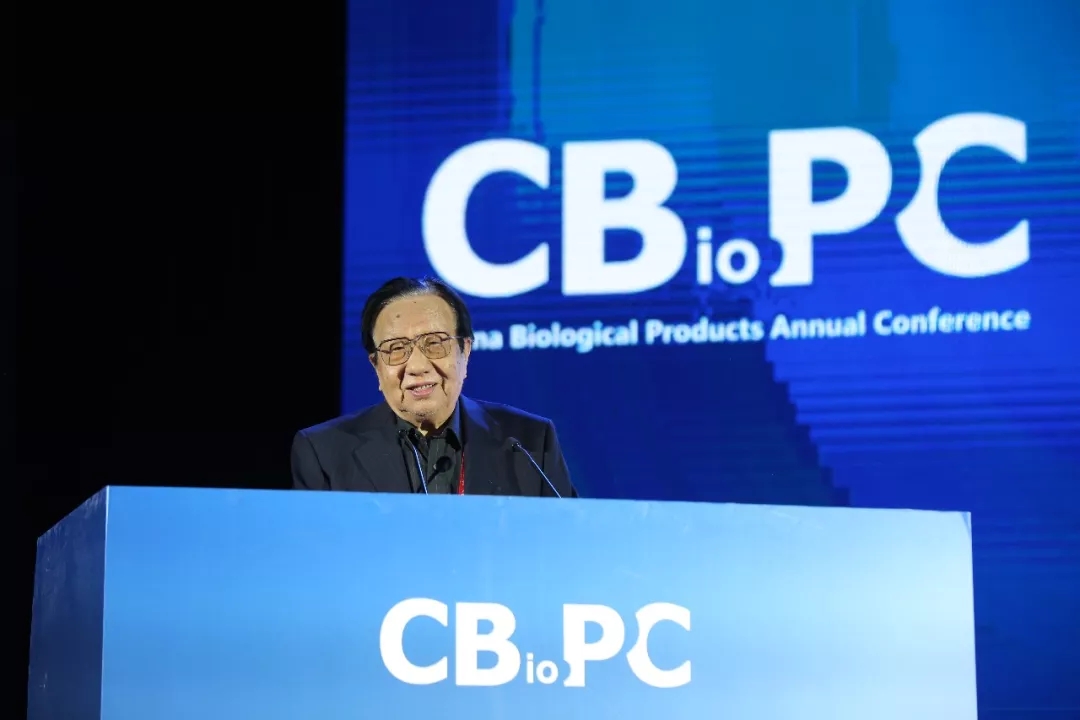 13.webp.jpg