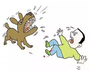图片9.png